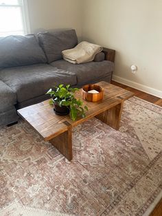 a living room with a couch, coffee table and potted plant on the rug