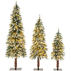 three christmas trees with lights on them