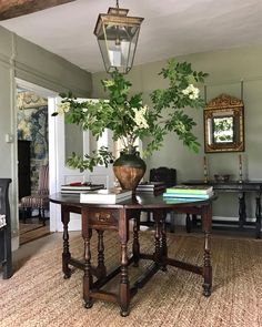 a living room filled with furniture and a potted plant on top of a table