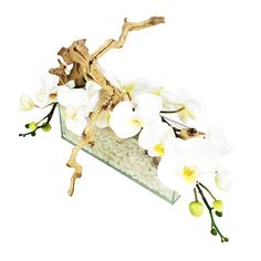 white orchids and other flowers in a glass vase on a white background with water