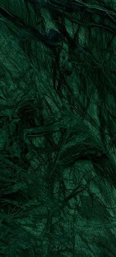 an abstract green background with lots of branches