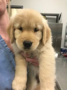 a woman holding a puppy in her arms