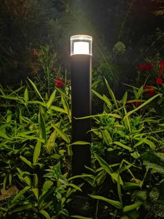 a light that is on in the middle of some grass and flowers with red flowers behind it