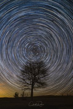 star trails in the night sky over a tree