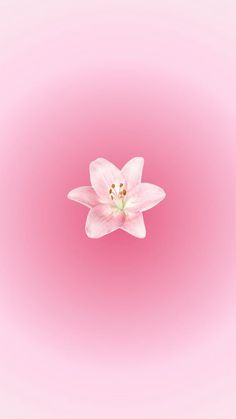 a pink flower is floating in the air