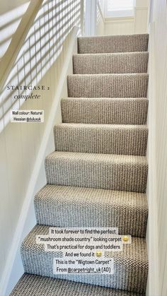 the stairs in this house have been cleaned and painted white with gray carpeting on them