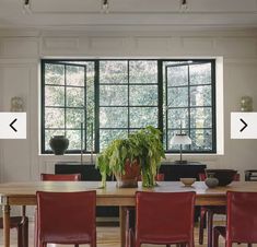 a dining room table with red chairs and a potted plant in the center on top