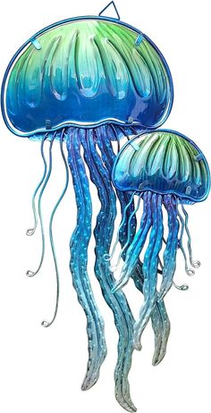 two blue and green jellyfishs floating in the water with their tails curled up