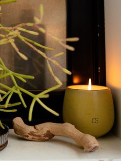 a candle sitting on top of a counter next to a plant