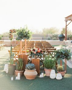 there are many potted plants on the ground in front of an outdoor wedding ceremony