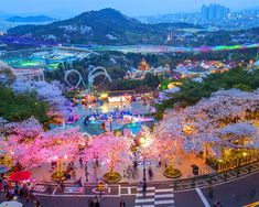 an aerial view of a park with cherry trees and people walking around it at night