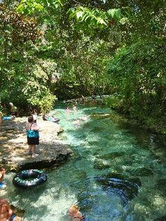 people are standing on rocks in the middle of a river, surrounded by lush green trees