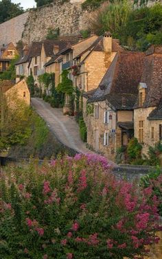 an old village with stone buildings and flowers growing on the hillside