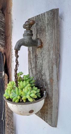 an old faucet with succulents hanging from it's side