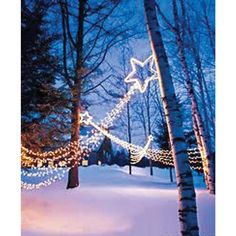 christmas lights are hanging from trees in the snow