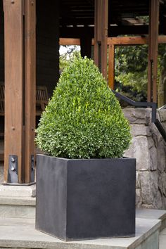 a black planter sitting on top of a cement step