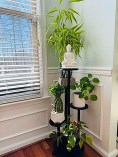 there are many plants in the corner of this room and one is on top of a stand