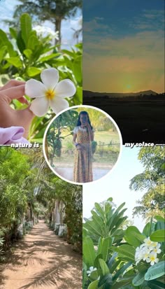 the collage shows several different pictures with trees and flowers in them, including an image of a woman holding a flower up to her face