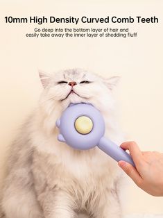 a cat is chewing on a toy with its teeth