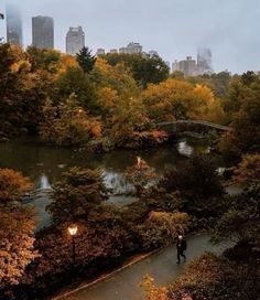 a man walking down a path next to a river in the middle of a park