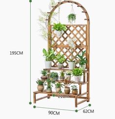 a wooden plant stand with potted plants on it and measurements for the height of each shelf