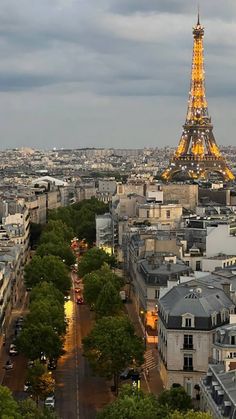 the eiffel tower towering over the city of paris