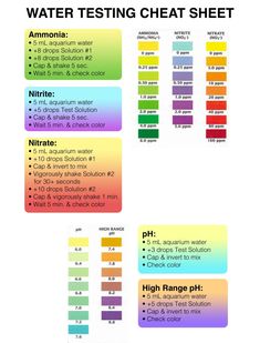 the water testing sheet is shown with different colors