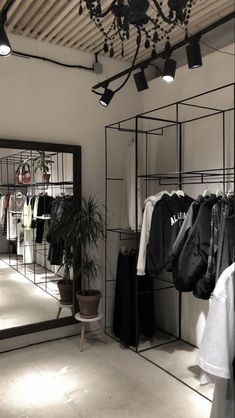 a clothing store with clothes hanging on racks and plants in the corner, along with mirrors