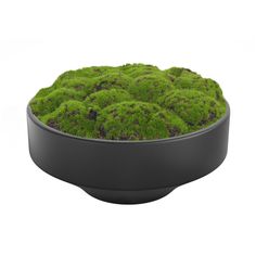 a black bowl filled with lots of green moss