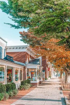 an empty street lined with shops and trees