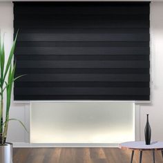 a living room with a large window covered in black roller shades and a potted plant