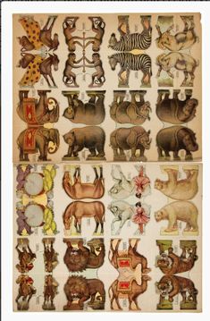 several different types of animals are shown in this illustration, including zebras and rhinos