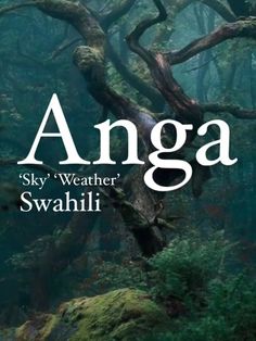 the cover of angga sky weather in swahlii, with trees and moss