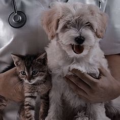 a woman holding a dog and kitten in her hands