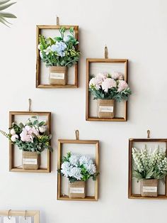 four wooden frames with flowers in them hanging on the wall next to a potted plant