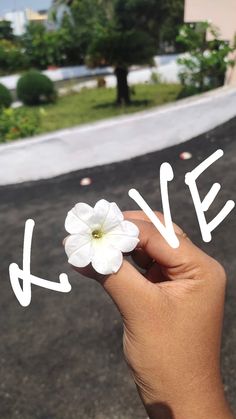 a hand holding a white flower with the word love written in cursive writing