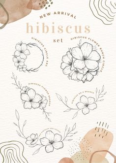 the new arrival hibiscus set includes flowers, leaves and other decorative elements to create an elegant floral design