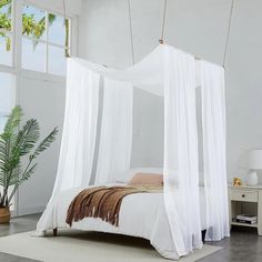 a white canopy bed sitting in a bedroom on top of a floor next to a potted plant