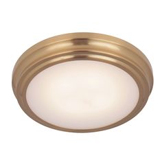 an image of a flush light fixture