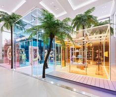 a palm tree in front of a store with its reflection on the glass doors and people walking by