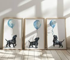 three framed pictures of dogs holding balloons in their mouths, against a white wall and wooden floor