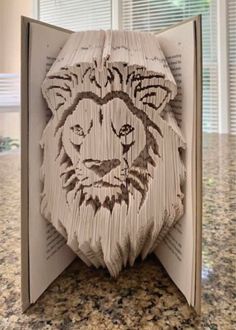 an open book with a drawing of a lion on it's face in front of a window