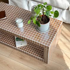 a small potted plant sitting on top of a coffee table next to a book