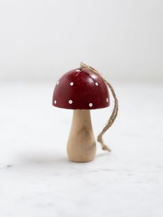 a small red mushroom with white polka dots on it's cap is tied to a piece of wood