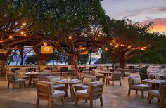 an outdoor dining area with tables, chairs and lights hanging from the trees at sunset