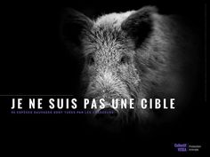 a black and white photo of a pig with the words je ne suis pas une cible