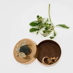 an open jewelry box sitting next to a plant