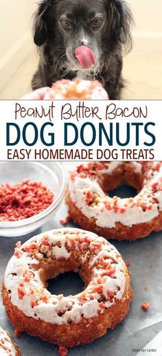 Homemade dog donuts made with peanut butter! Includes yogurt frosting and bacon sprinkles for a homemade dog treat your dog will love. Yogurt Frosting, Lou Dog, Homemade Pet Treats, Bacon Dog, Cookies Homemade, Dog Biscuit Recipes