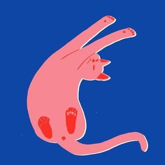 an illustration of a pink cat with red feet on it's back and paws in the air