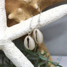 Simple, yet so beautiful for all things summer. These versitile earrings are as easy breezy as your beach days. incredibly lightweight, but still make a huge statement. Wear your cowrie shell earrings with anything from a classy dress to a comfortable t-shirt and shorts.  Perfect gift for anyone who loves the ocean!  Please note that natural shells are beautifully unique, which sets them apart from mass-produced materials. This means that shell size and color may vary from one another. All our s Bohemian Dangle Earrings For Beach, Nickel-free Bohemian Earrings For Vacation, Bohemian Nickel-free Earrings For Vacation, Bohemian Nickel Free Earrings For Vacation, Bohemian Earrings With Ear Wire For Vacation, Nickel-free Bohemian Earrings For Beach, Bohemian Nickel-free Earrings For Beach, Bohemian Ear Wire Jewelry For Beach, Bohemian Ear Wire Jewelry For The Beach